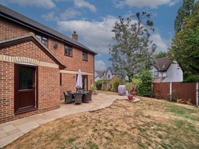 Picture 21